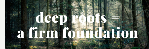 Deep Roots Equal a Firm Foundation